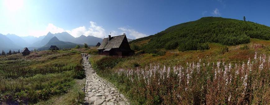 A3Apartament 2 Pokojowy Aneks Kuchenny 2 Lazienki Wlasne Na Korytarzu Villa Jumper Pobyt Na Termach Dla 2 Osob Gratis Zakopane Buitenkant foto