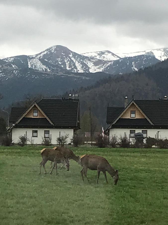 A3Apartament 2 Pokojowy Aneks Kuchenny 2 Lazienki Wlasne Na Korytarzu Villa Jumper Pobyt Na Termach Dla 2 Osob Gratis Zakopane Buitenkant foto