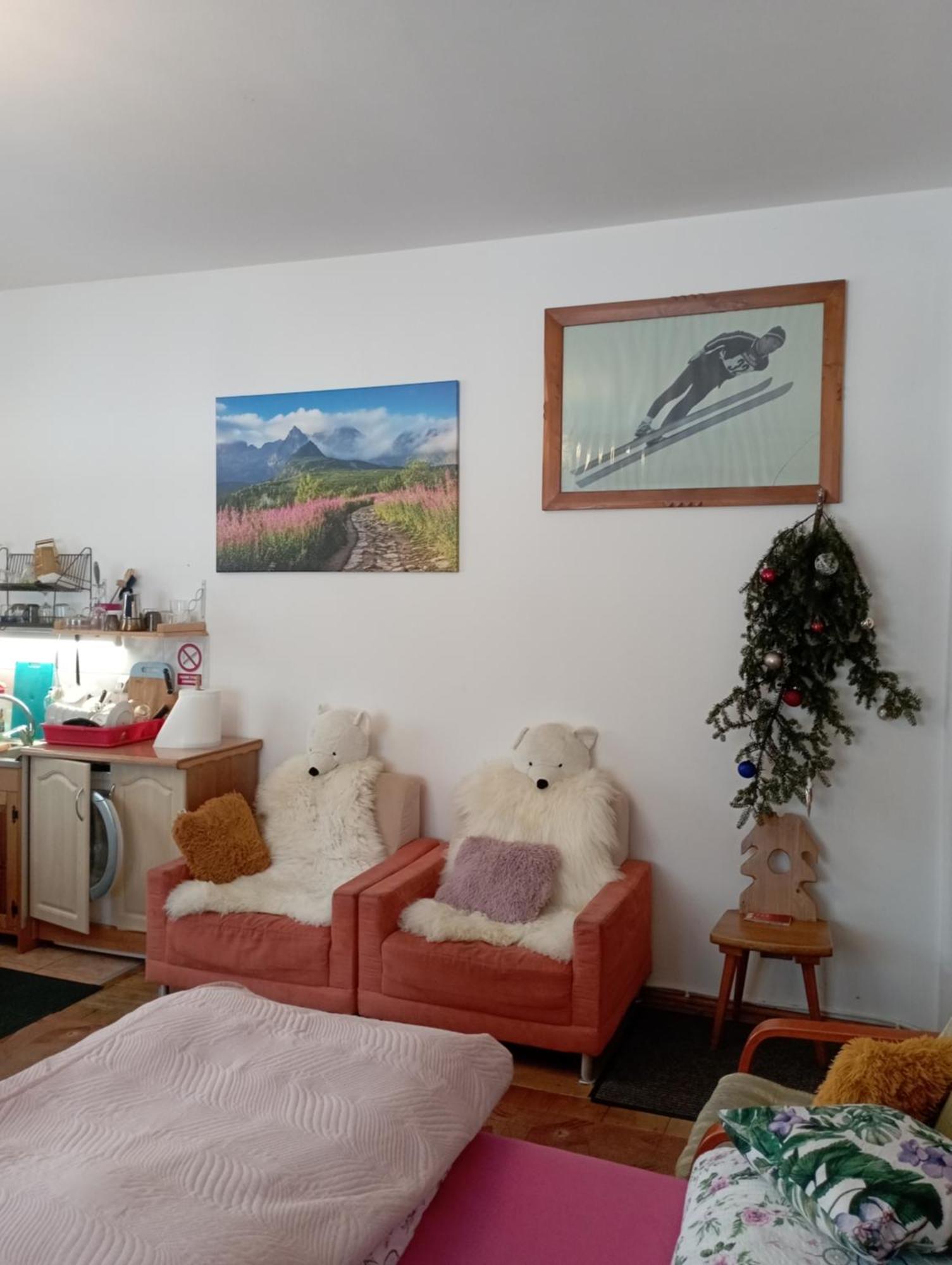 A3Apartament 2 Pokojowy Aneks Kuchenny 2 Lazienki Wlasne Na Korytarzu Villa Jumper Pobyt Na Termach Dla 2 Osob Gratis Zakopane Buitenkant foto